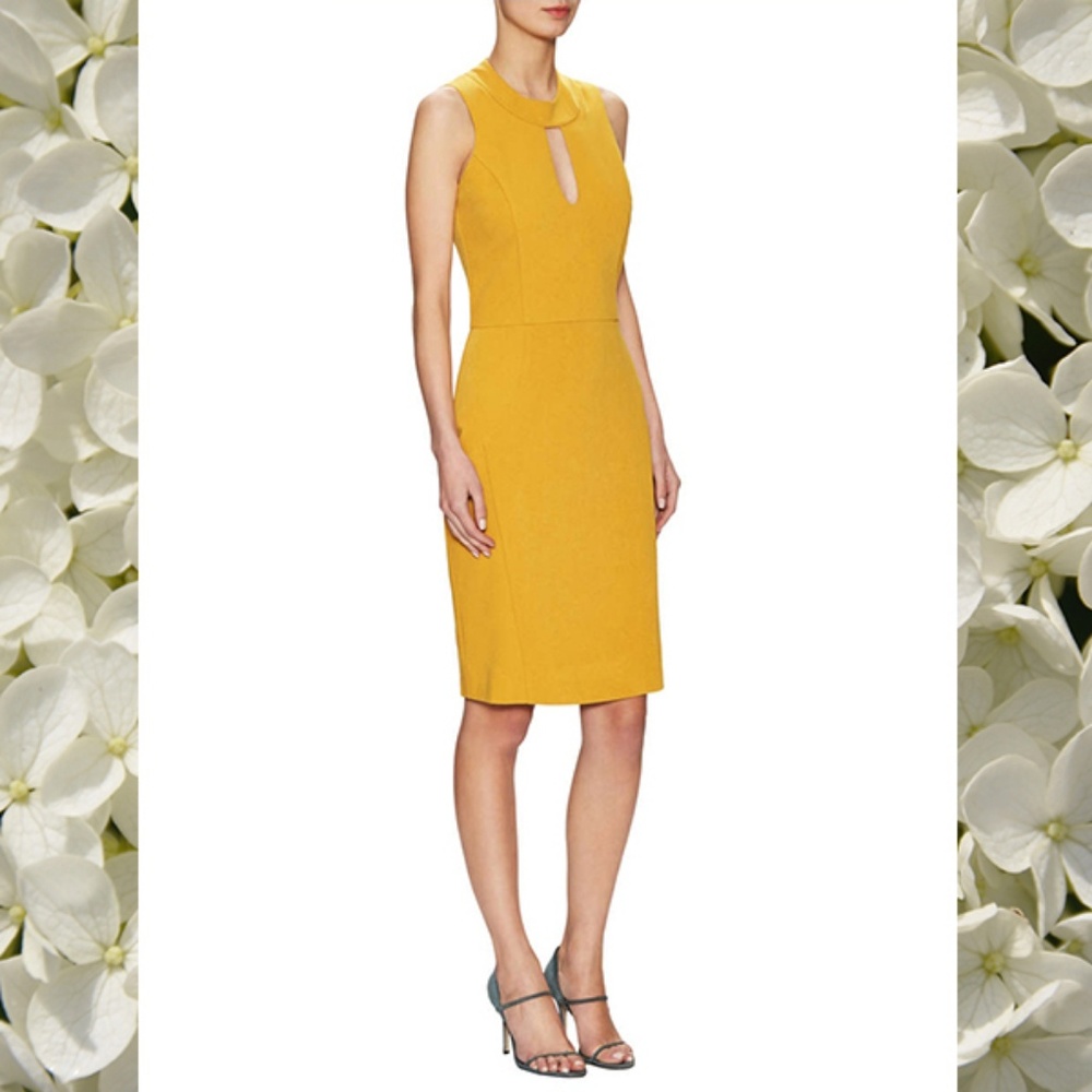 NWOT Pure Navy Yellow Shift Dress Sz. 6